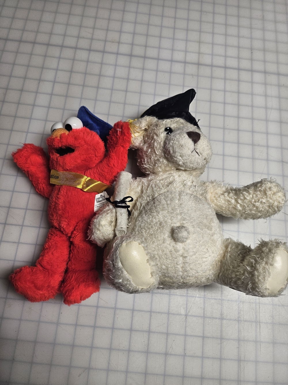 Graduation Plushes - Picture 2 of 3